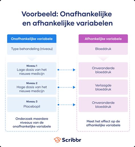 verschil afhankelijke en onafhankelijke variabele|Een introductie tot verschillende soorten variabelen 